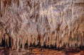 /album/balcarka-brunn/dsc3361-copy-jpg/